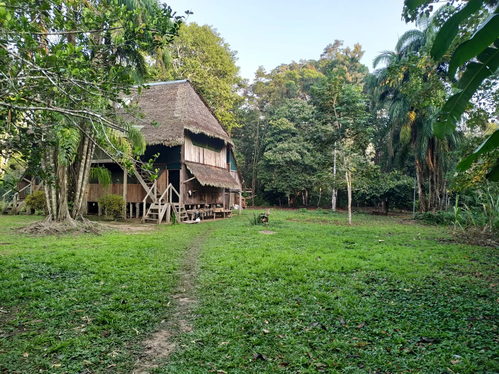 The Dieta lodge surrounded by rainforest